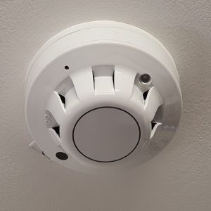 VeriFire DETECTOR