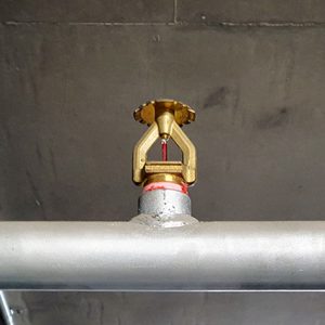 VeriFire SPRINKLER HEAD